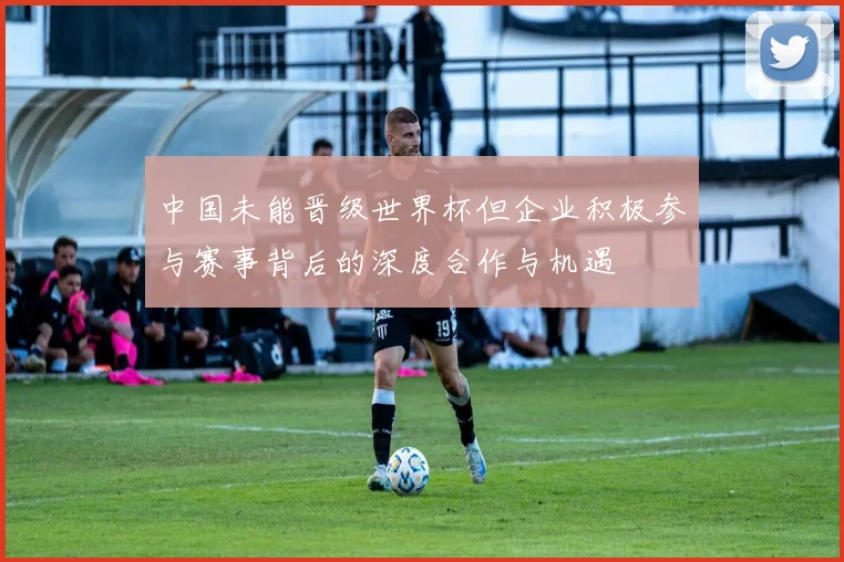 中国未能晋级世界杯但企业积极参与赛事背后的深度合作与机遇
