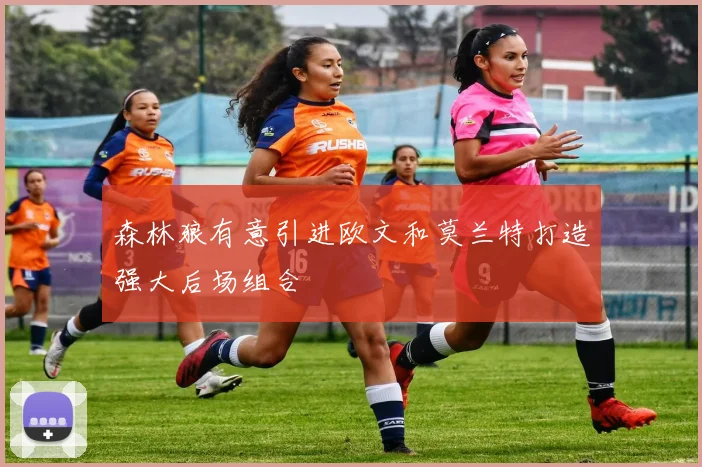森林狼有意引进欧文和莫兰特打造强大后场组合