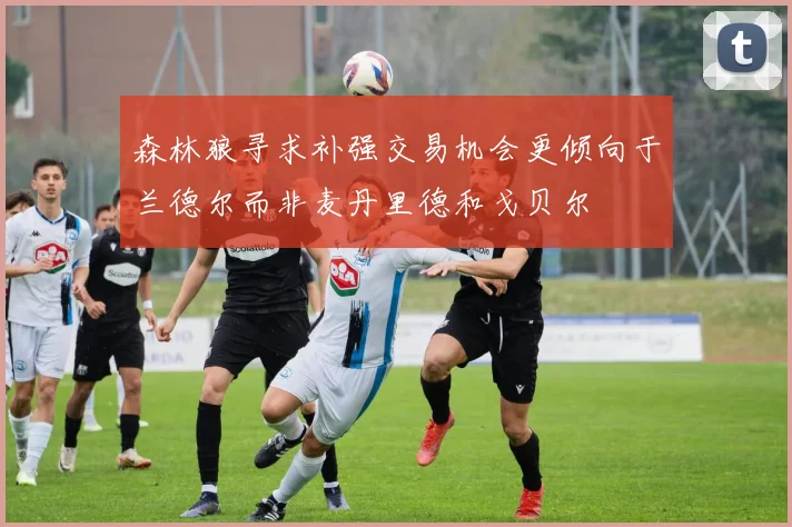 森林狼寻求补强交易机会更倾向于兰德尔而非麦丹里德和戈贝尔